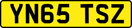 YN65TSZ