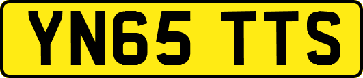 YN65TTS