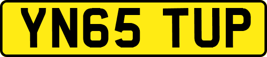 YN65TUP
