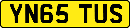YN65TUS