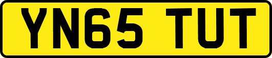 YN65TUT