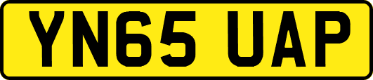 YN65UAP