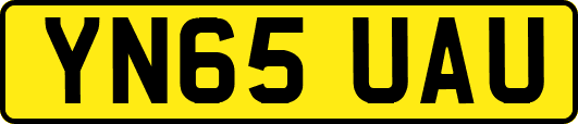 YN65UAU