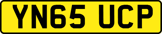 YN65UCP