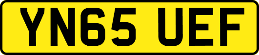 YN65UEF