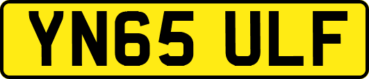YN65ULF