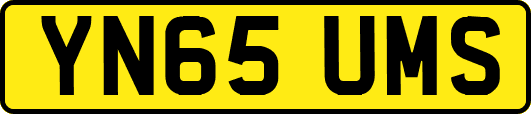 YN65UMS
