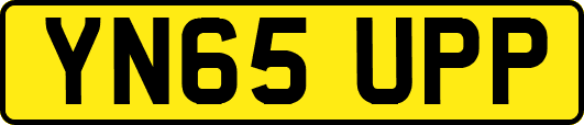 YN65UPP