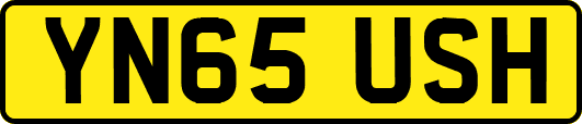 YN65USH