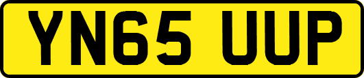YN65UUP
