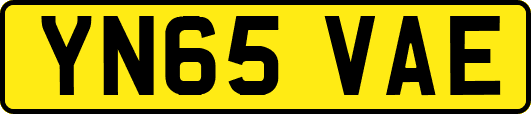 YN65VAE