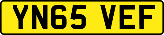 YN65VEF