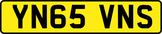 YN65VNS