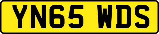 YN65WDS