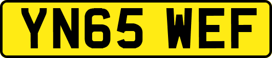 YN65WEF