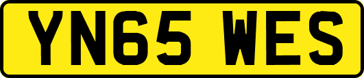 YN65WES