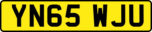 YN65WJU