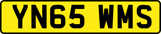 YN65WMS