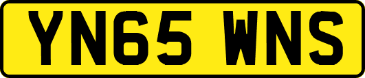 YN65WNS