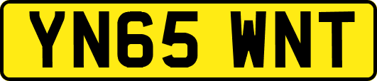 YN65WNT