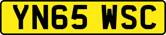 YN65WSC