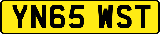 YN65WST