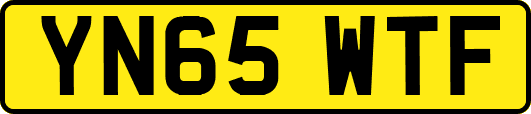 YN65WTF