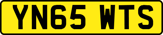 YN65WTS