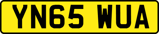 YN65WUA