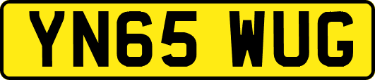 YN65WUG