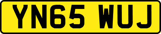 YN65WUJ