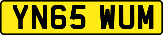 YN65WUM