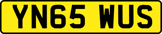 YN65WUS