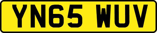 YN65WUV