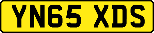 YN65XDS