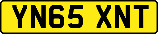 YN65XNT