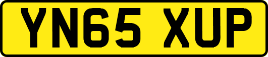 YN65XUP