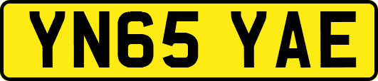 YN65YAE
