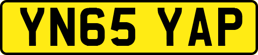 YN65YAP