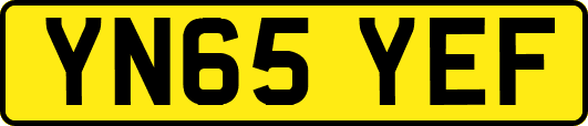 YN65YEF