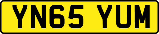 YN65YUM