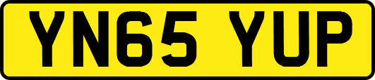 YN65YUP