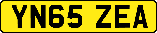 YN65ZEA