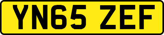 YN65ZEF