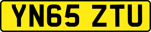 YN65ZTU