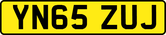 YN65ZUJ