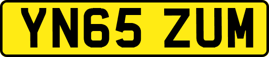YN65ZUM