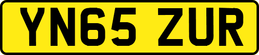 YN65ZUR