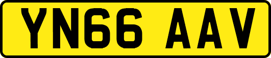 YN66AAV