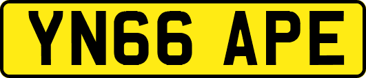 YN66APE
